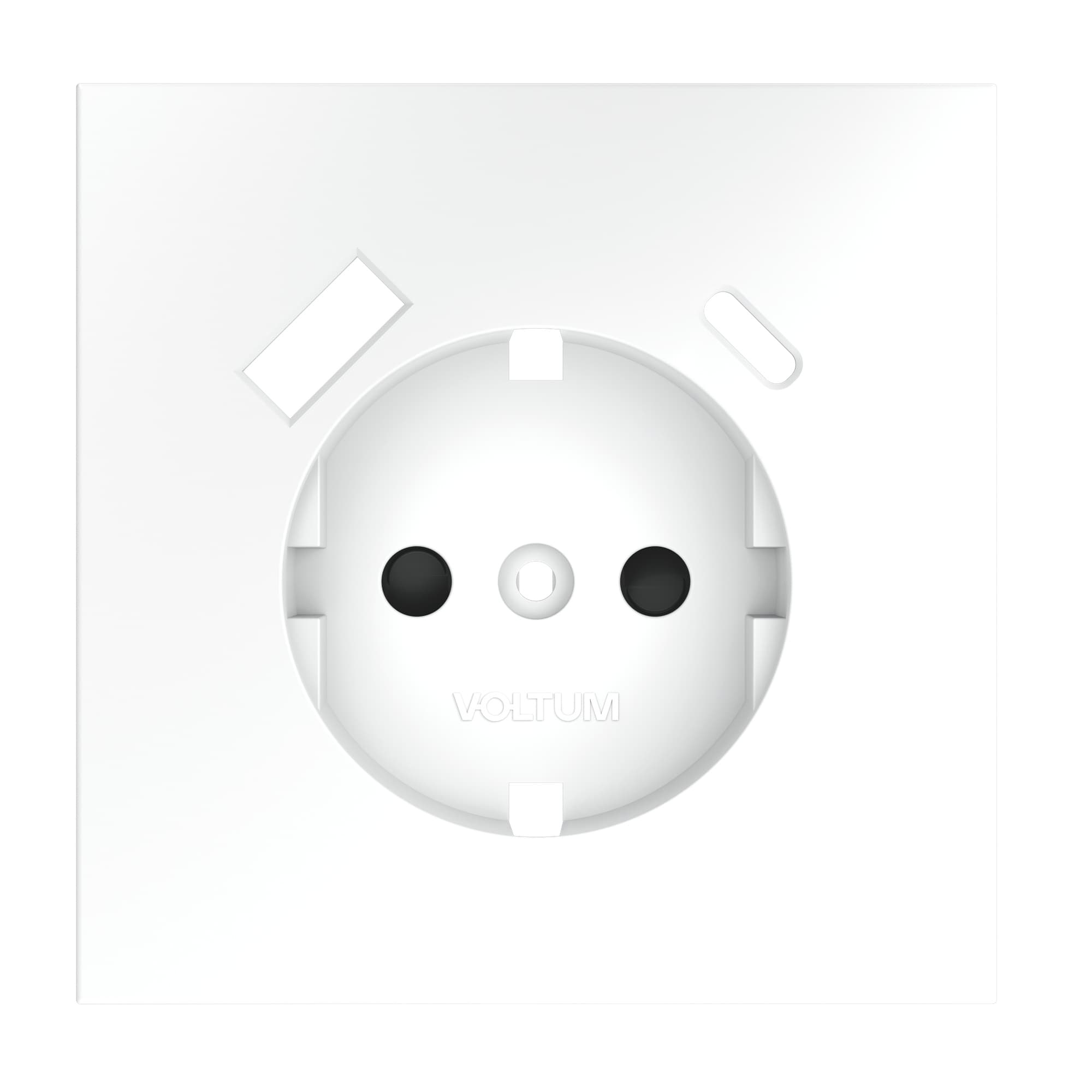 Накладка для розетки с заземлением и защитными шторками, с USB A+C, S70 (белый матовый), цвет Белый матовый, изображение 1 из 9
